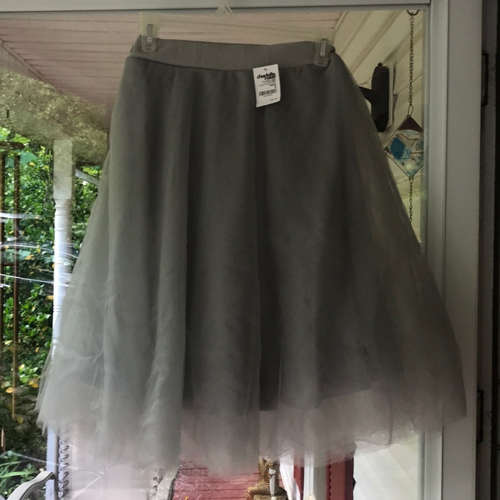 Grey Ballet-style Tulle Skirt (Charlotte Russe, S)